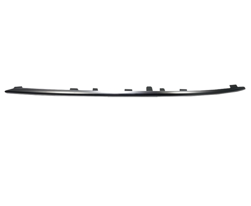 Aftermarket MOLDINGS for MERCEDES-BENZ - E43 AMG, E43 AMG,17-18,LT Front bumper molding