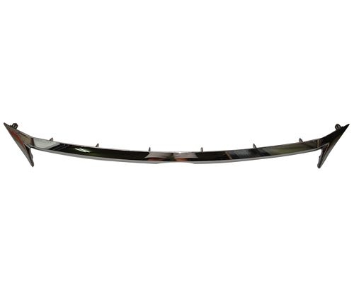 Aftermarket MOLDINGS for LEXUS - CT200H, CT200h,11-13,Grille molding